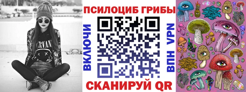 Псилоцибиновые грибы ЛСД  Купить закладки  Каменск-Шахтинский 